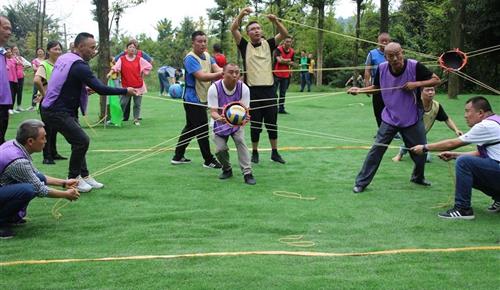 新力量&老同志，将产生什么化学反应？